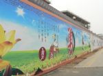 青島專業慶典禮儀策劃服務公司 一站式專業服務，點亮城市精彩
